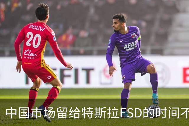 中国市场留给特斯拉FSD的时间不多了？