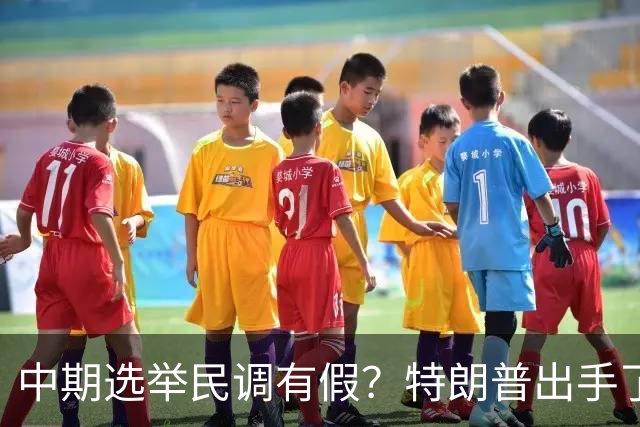 中期选举民调有假？特朗普出手了