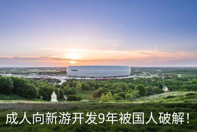 成人向新游开发9年被国人破解！作者崩溃 不想干了