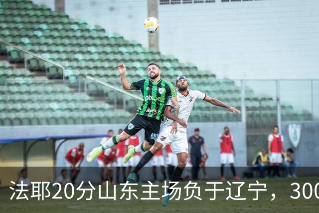 法耶20分山东主场负于辽宁，3000万先生王岚嵚0分首秀扑街