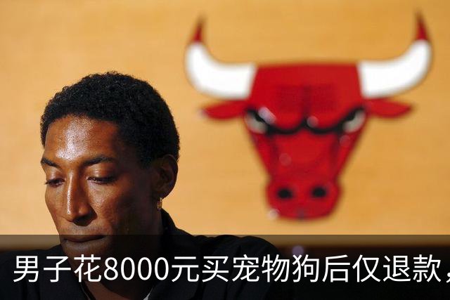 男子花8000元买宠物狗后仅退款，商家驱车600公里上门寻狗