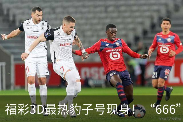 福彩3D最热豹子号现身！“666”时隔503天再开