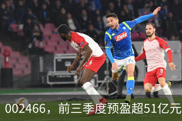 002466，前三季度预盈超51亿元！