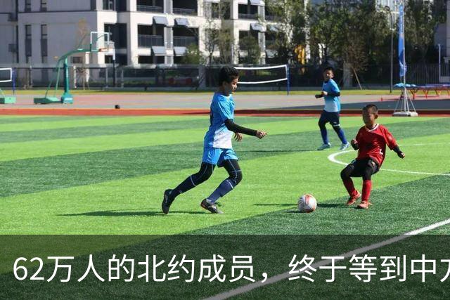 62万人的北约成员，终于等到中方来访，总理中文问候亲迎王毅外长