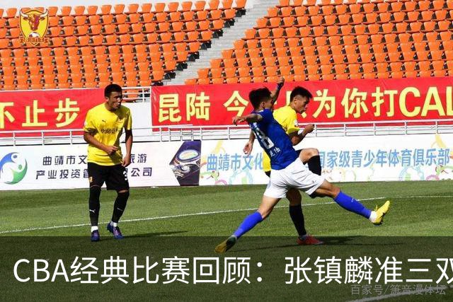 CBA经典比赛回顾：张镇麟准三双，辽宁大胜四川